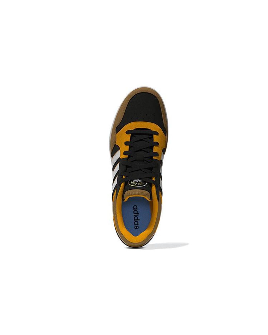 Adidas Brown Hoops 3.0 for men