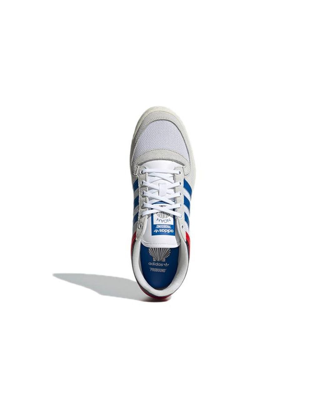 Adidas Blue Noah X Probound Bird' for men