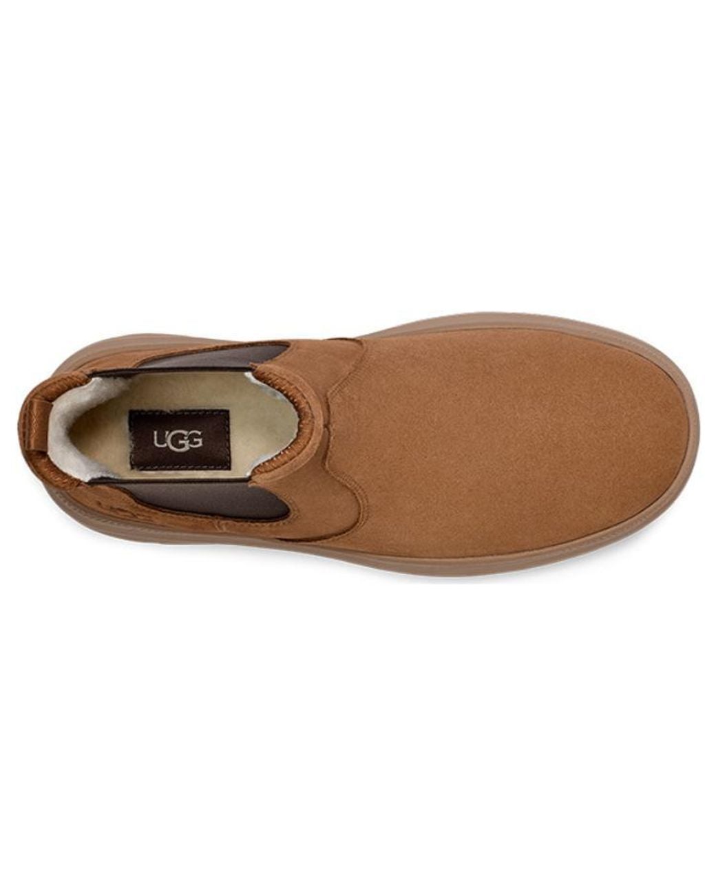 Ugg Brown Burleigh Chelsea Boot 'Chestnut' for men