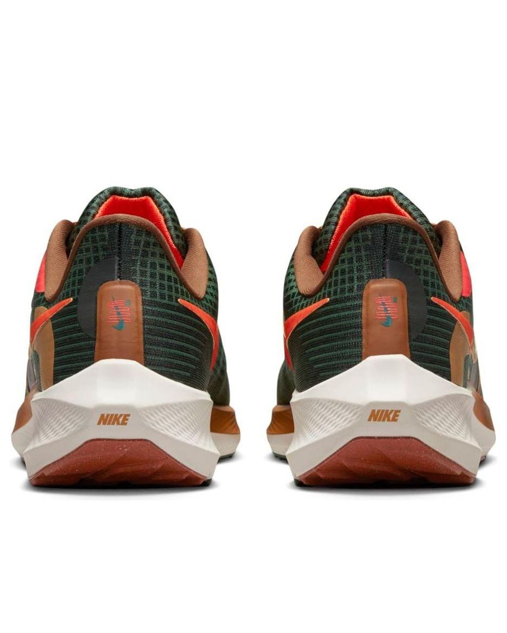 Nike Brown X Hola Lou Air Zoom Pegasus 39 'A.I.R. for men