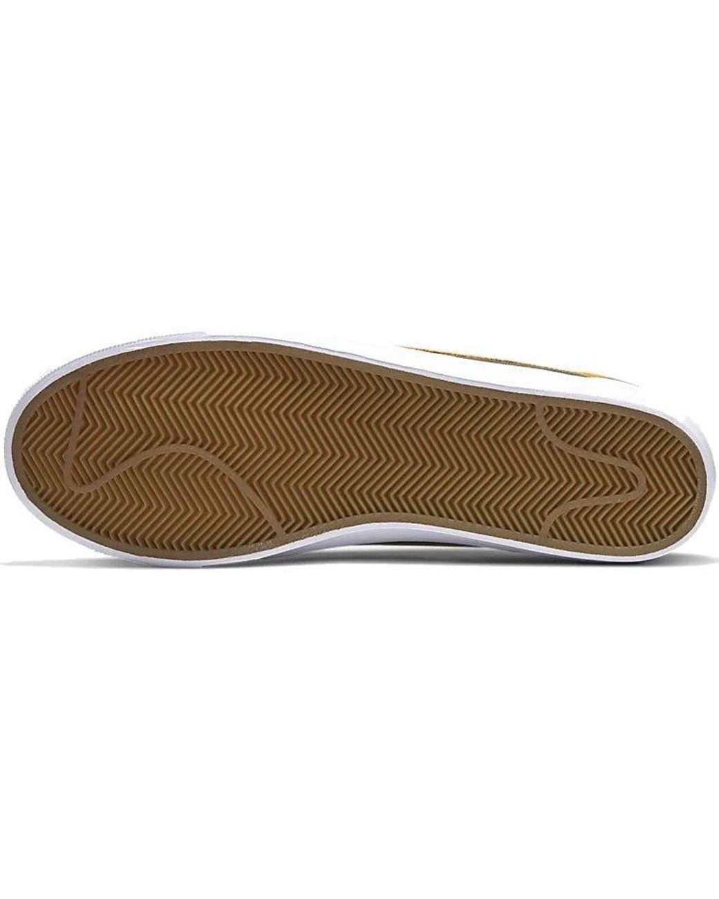Nike Brown Zoom Blazer Low Gt Sb 'Sequoia Kumquat' for men