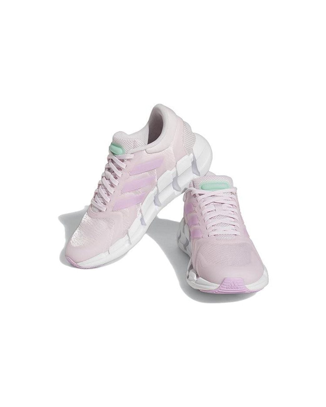 Adidas White (Wmns) Ventice Climacool
