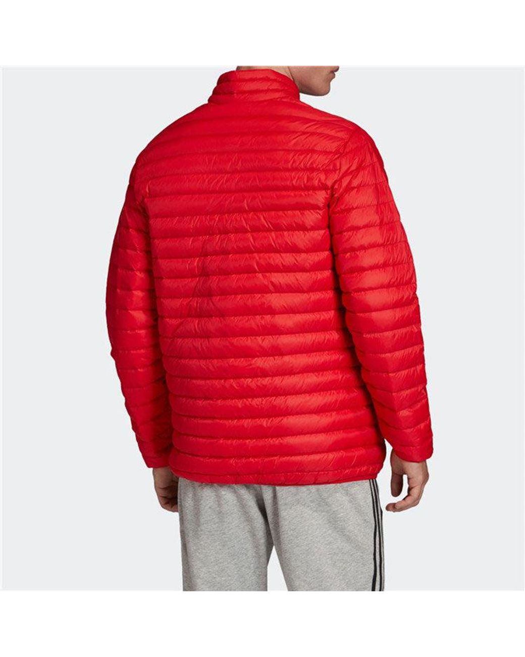 Adidas Red Afc Ssp Ldw Jk Arsenal Soccer/Football Down Jacket for men