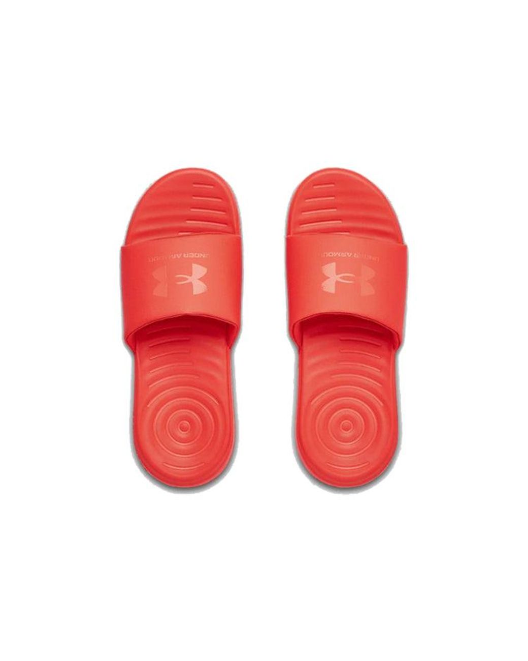 Under Armour Red Ansa Fixed Slide 'Beta' for men