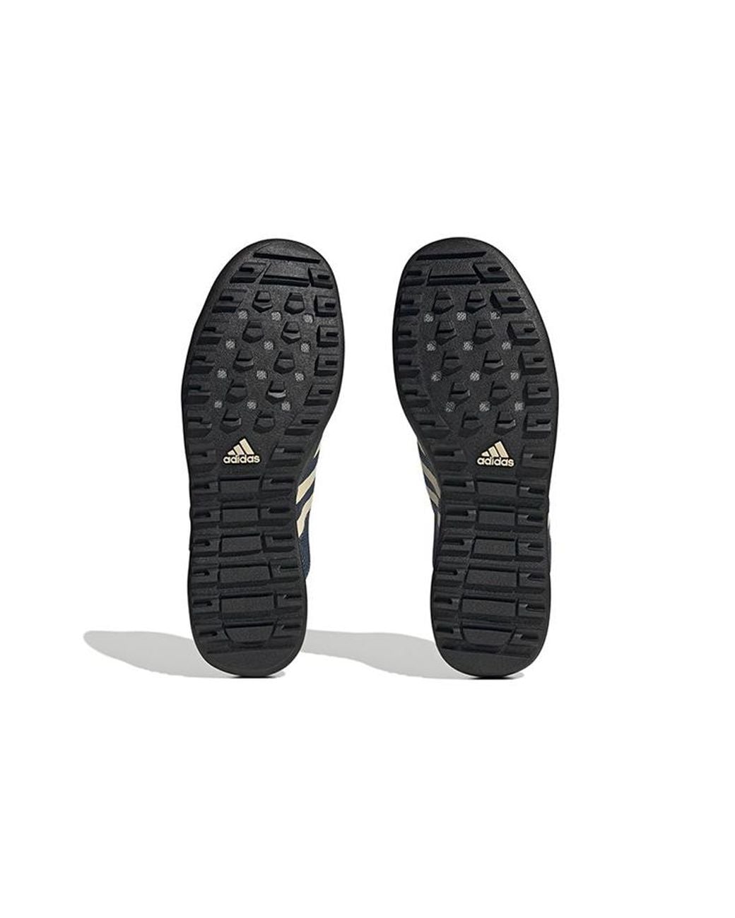 Adidas Blue Terrex Daroga Two 13 Heat.Rdy Hiking Shoes for men