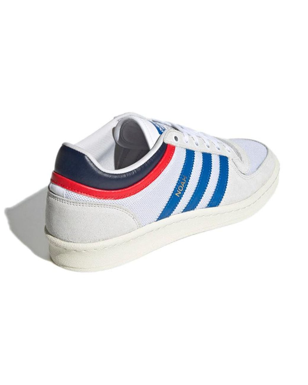 Adidas Blue Noah X Probound Bird' for men