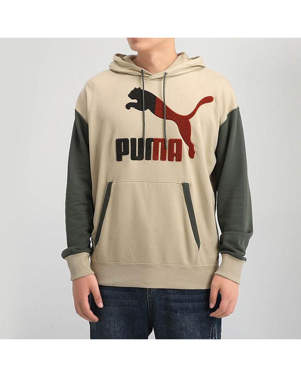 PUMA Natural Colorblock Hooded Sports Colorblock for men