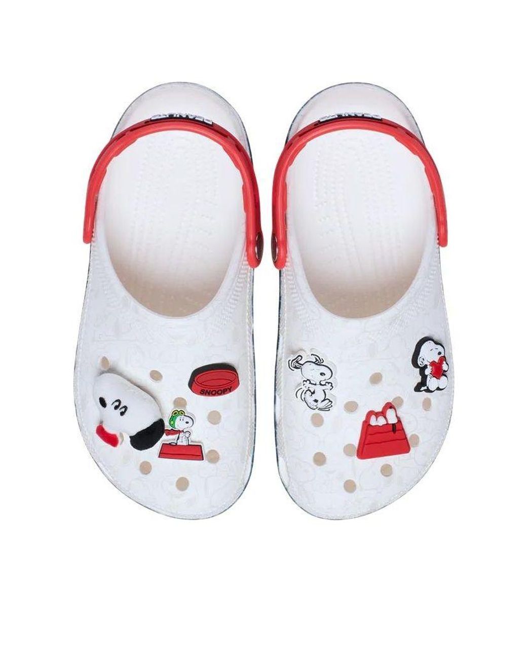 CROCSTM Blue X Peanuts Snoopy Classic Clog for men