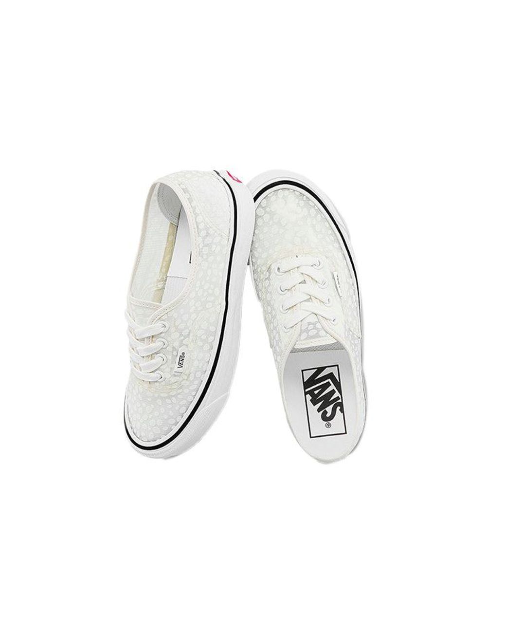 Vans White Authentic Mesh Dx Modular for men