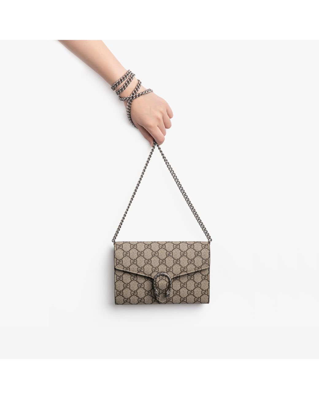 Gucci Metallic (Wmns) Dionysus Series Synthetic Canvaschain Bag Dionysus