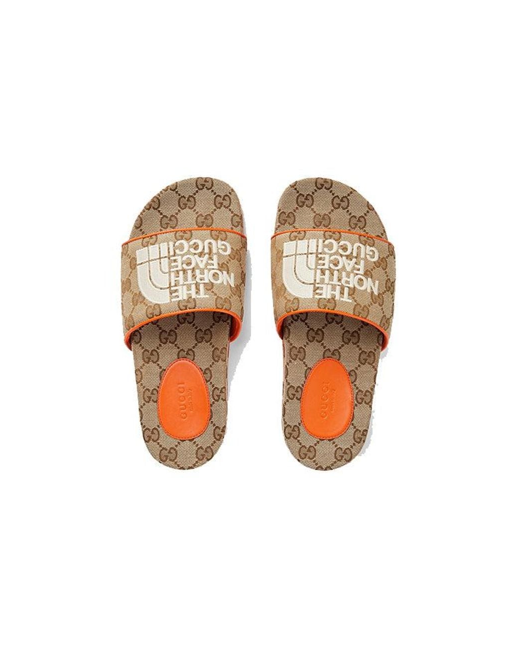 Gucci Brown (Wmns) Slide X The North Face Monogram'
