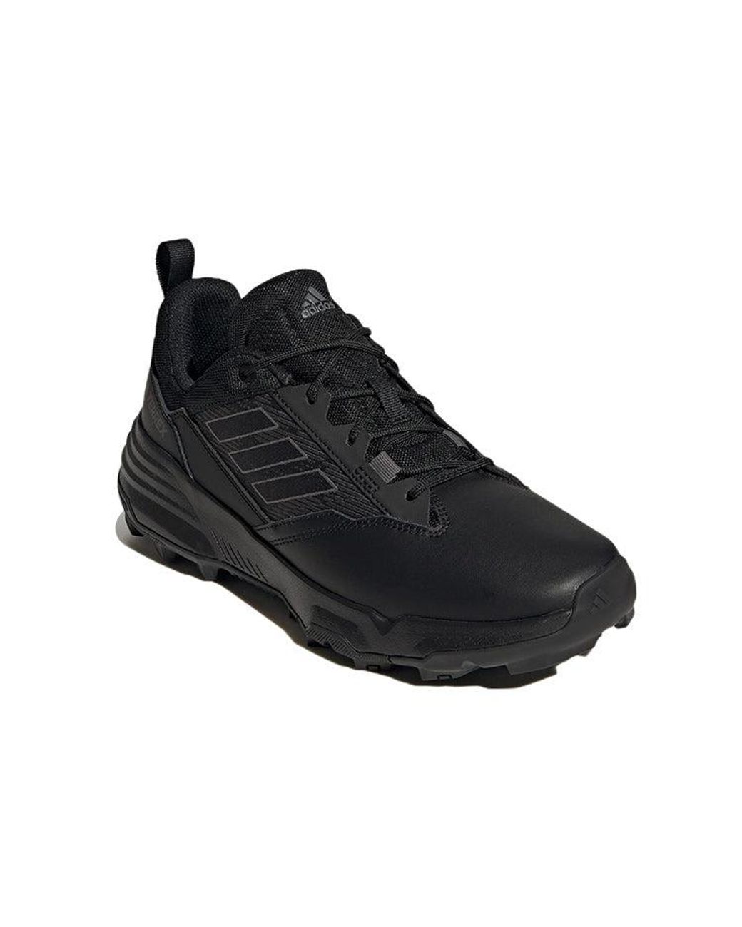 Adidas Black Terrex Unity Lea Low for men