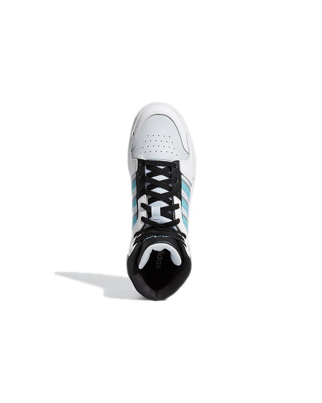Adidas Blue Entrap Mid for men