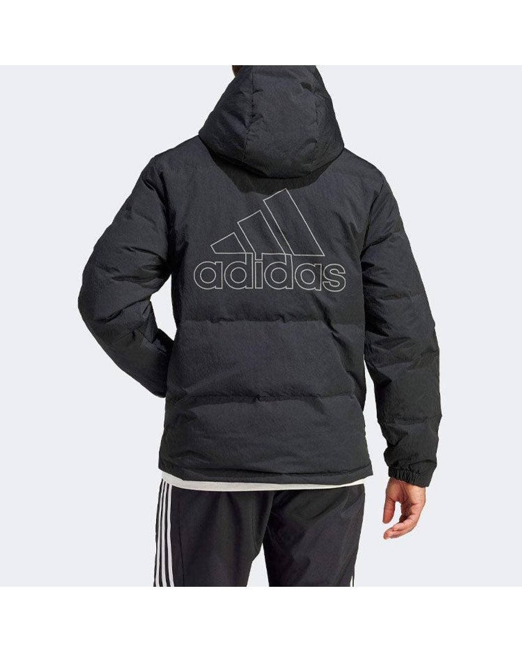 Adidas Black Regular Daily Down Jacket for men
