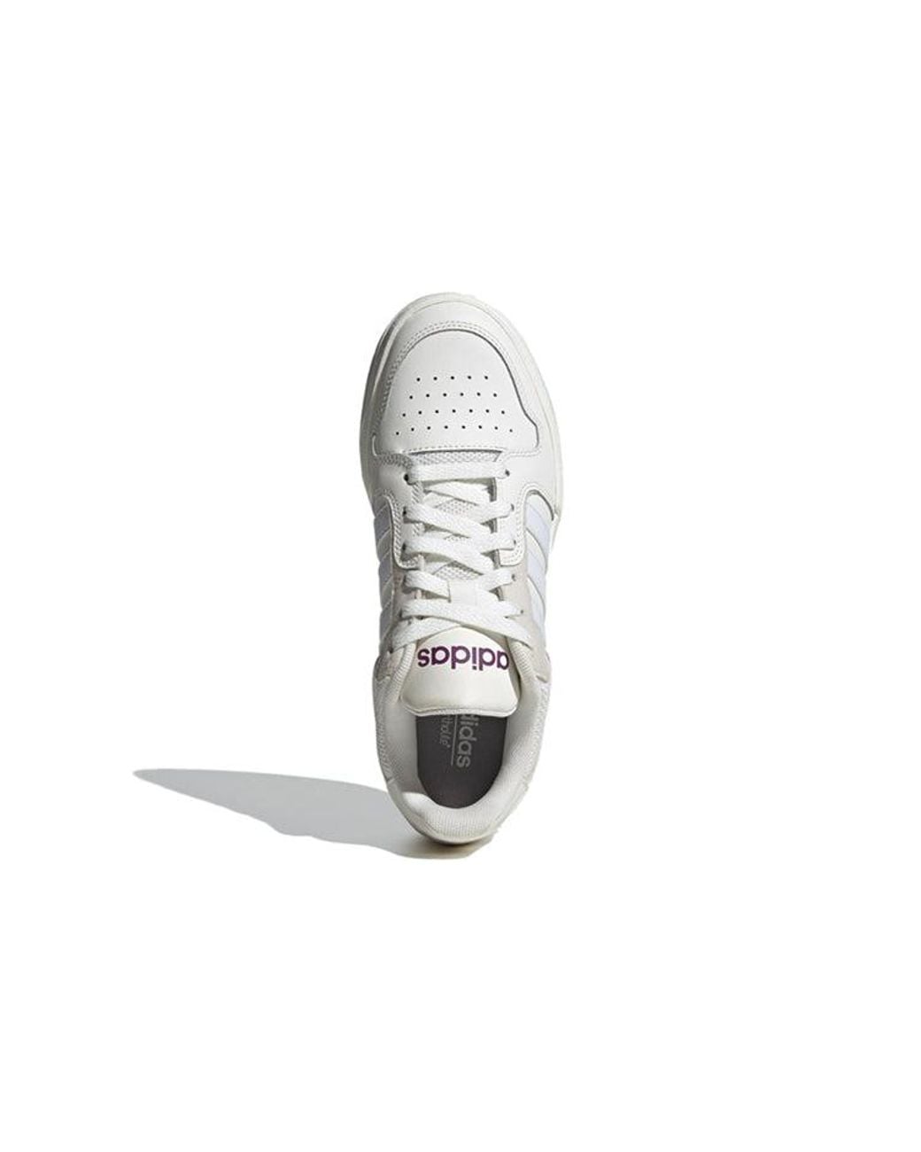 Adidas White Entrap