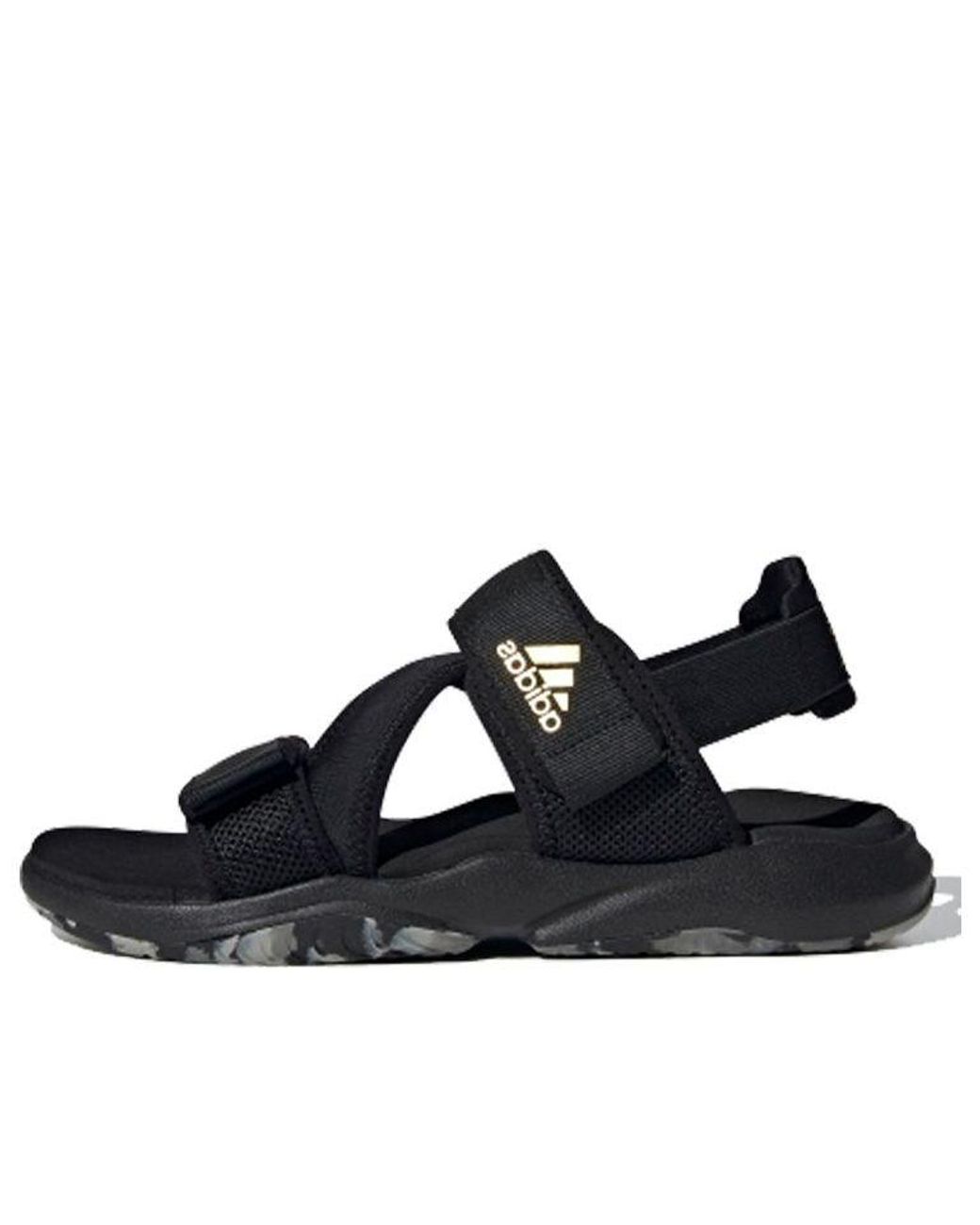 Adidas Blue Terrex Sumra Sports Sandals for men