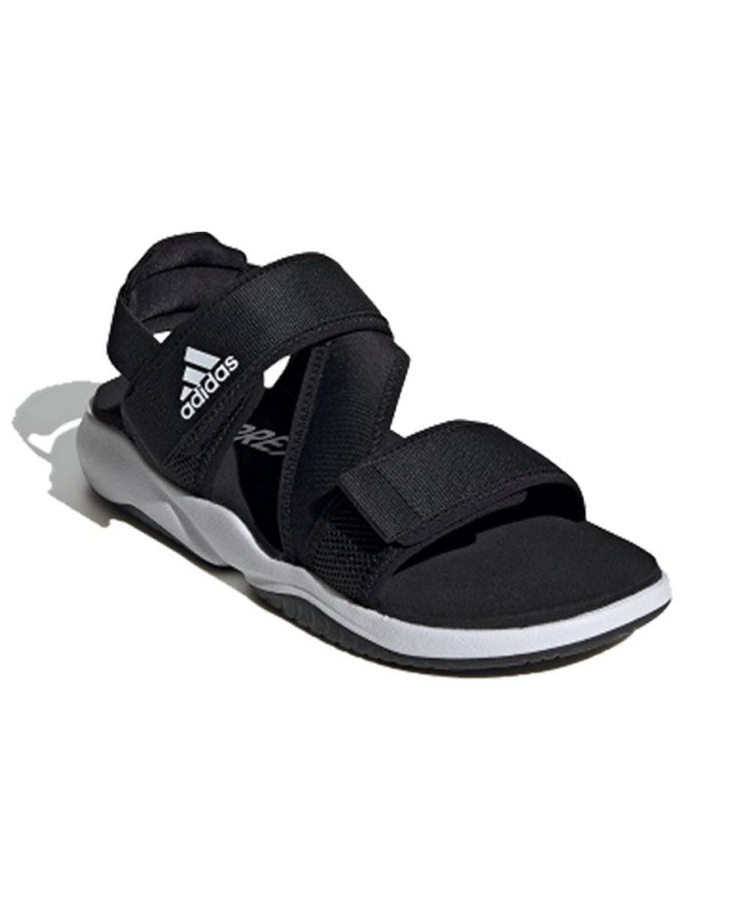 Adidas Blue Terrex Sumra for men