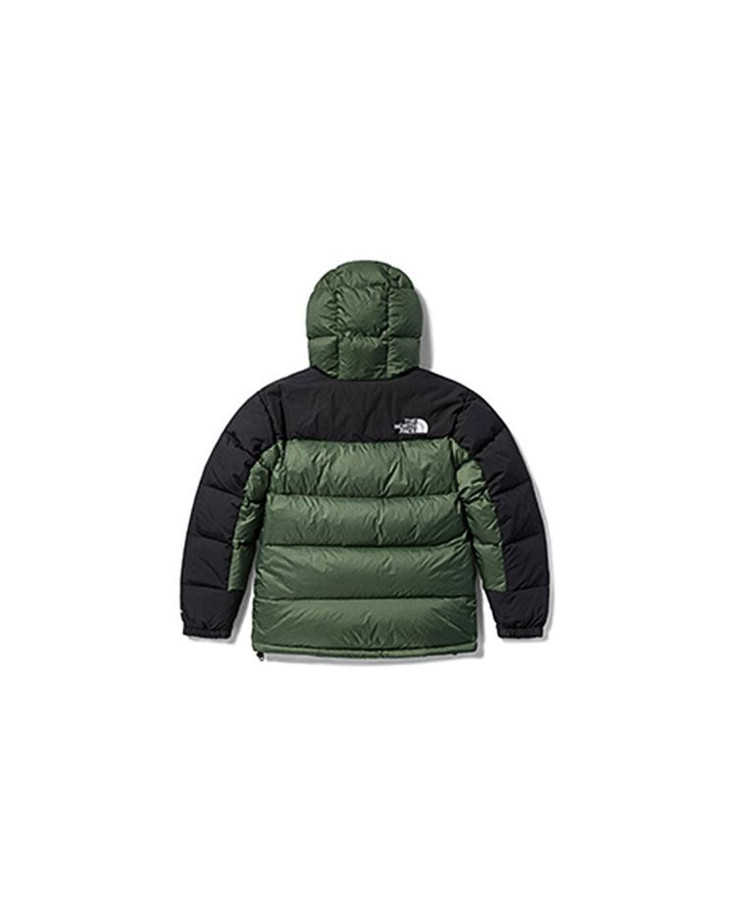 The North Face Winter Puffer Jacket 'Olivegreen' for men