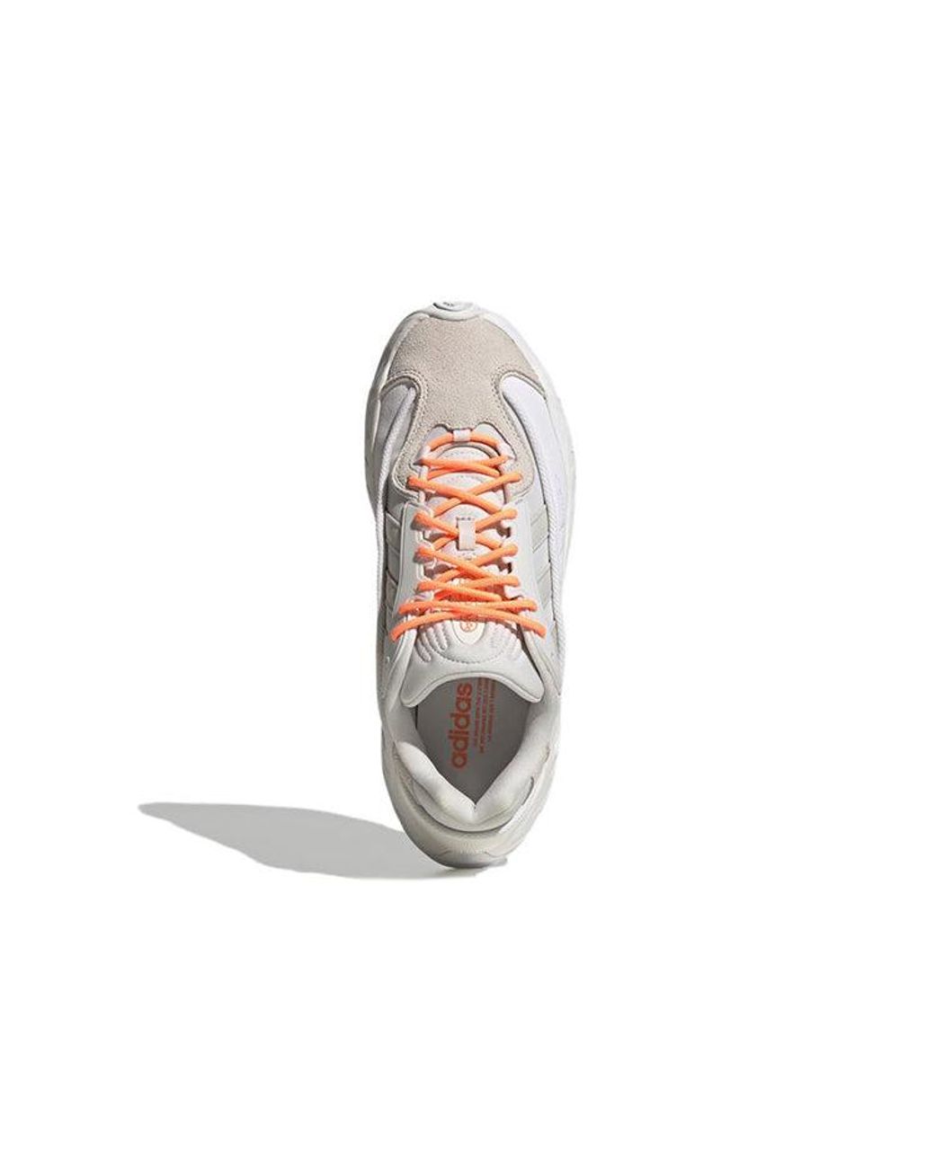 Adidas White Oznova Dash' for men
