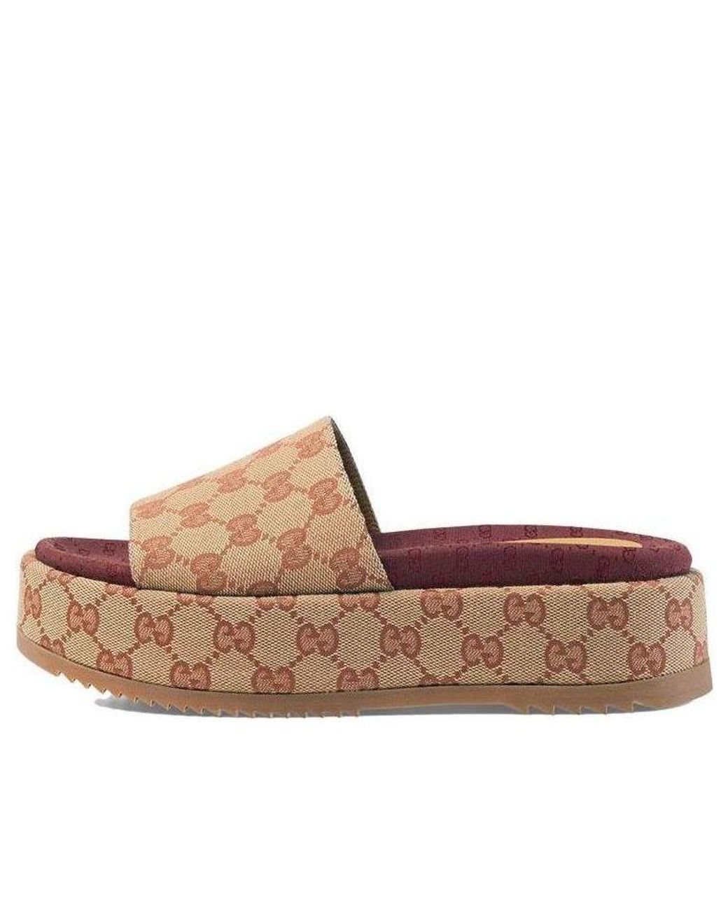 Gucci Brown (Wmns) Gg Slide Sandal 'Monogram