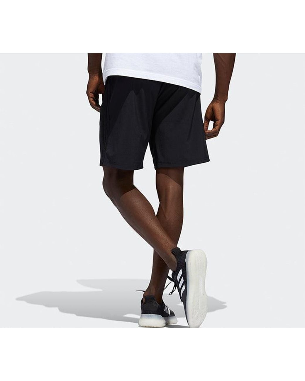 Adidas Blue M Short Library Logo Sports Shorts for men