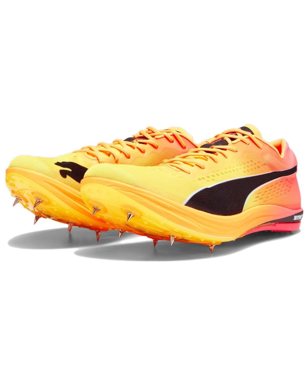 PUMA Yellow Evospeed Long Distance Nitro Elite+ Spike Shoes for men