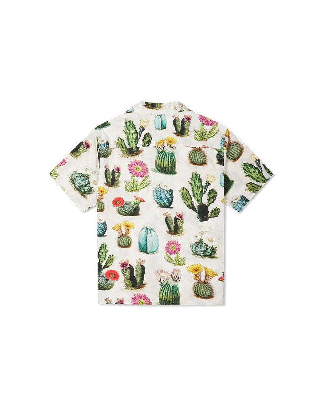 Converse Green Plant Printed Resort Shirt 'Desert Sand Cactus Multi' for men