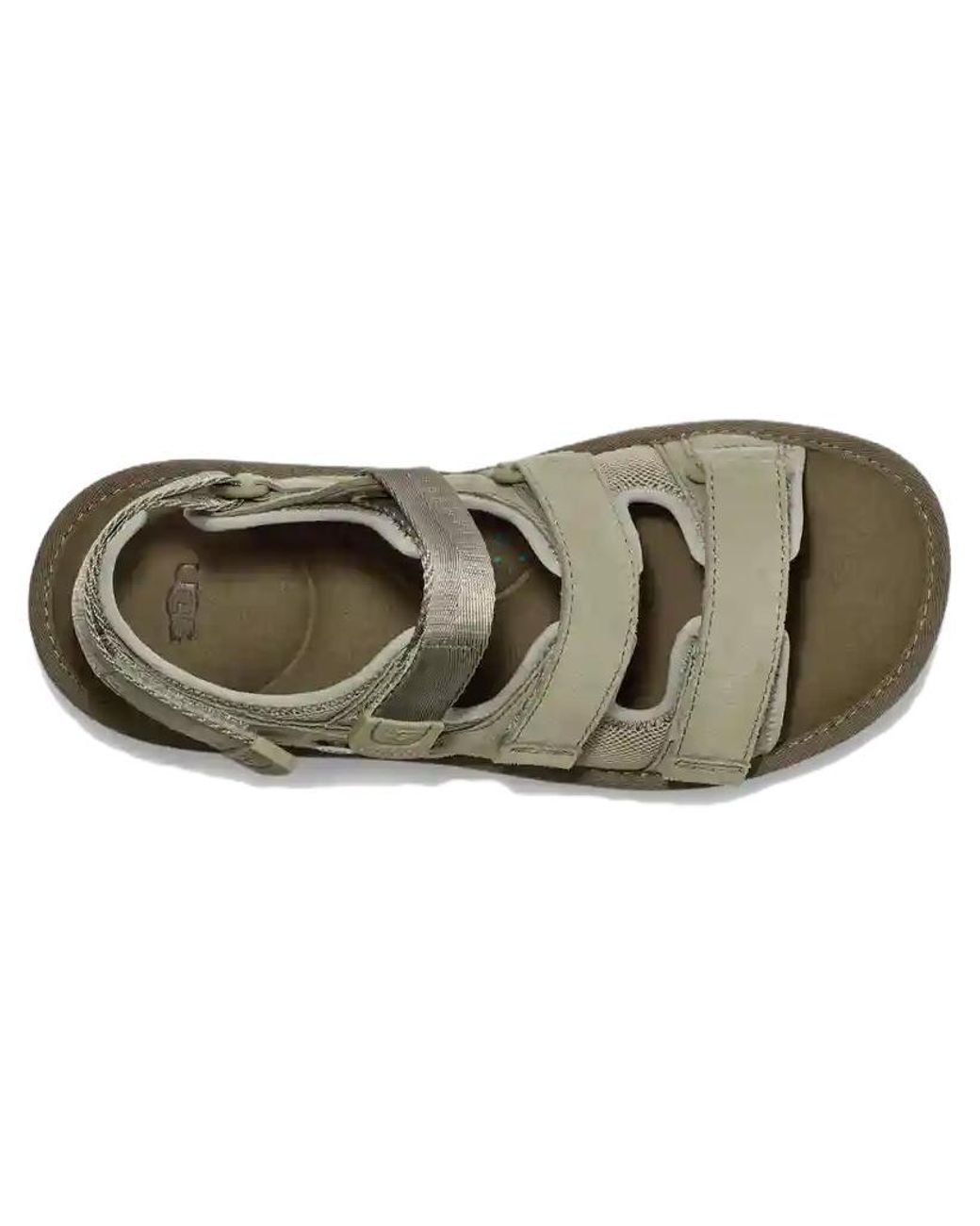 Ugg Green Goldencoast Multistrap Sandal 'Shaded Clover' for men