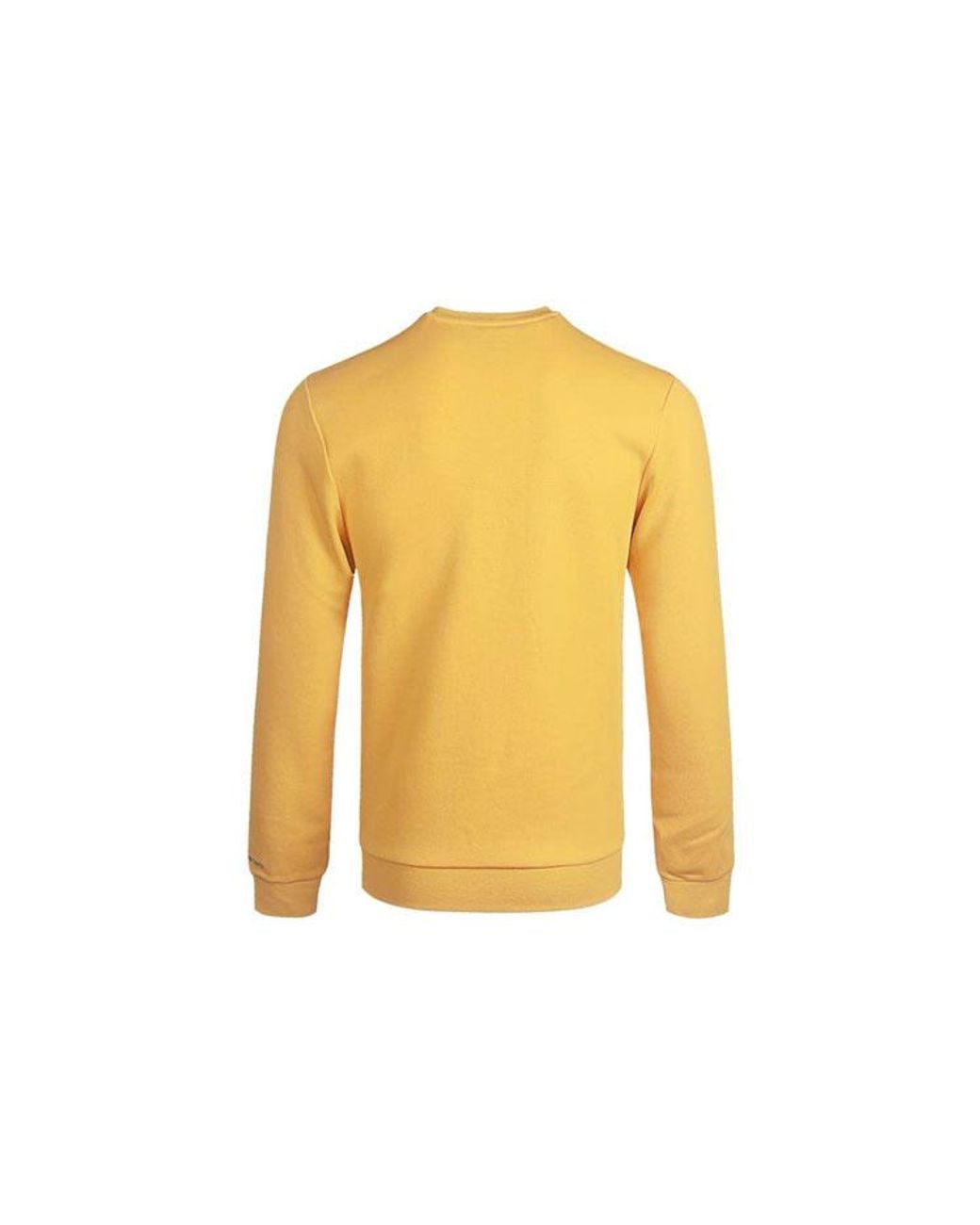 Adidas Yellow Neo M Cs Vrsty Sw Logo Printing Knit Sports Round Neck Pullover for men