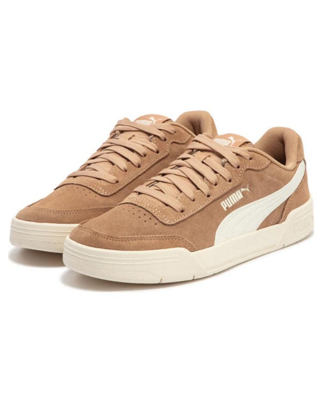 PUMA Natural Caracal Sd
