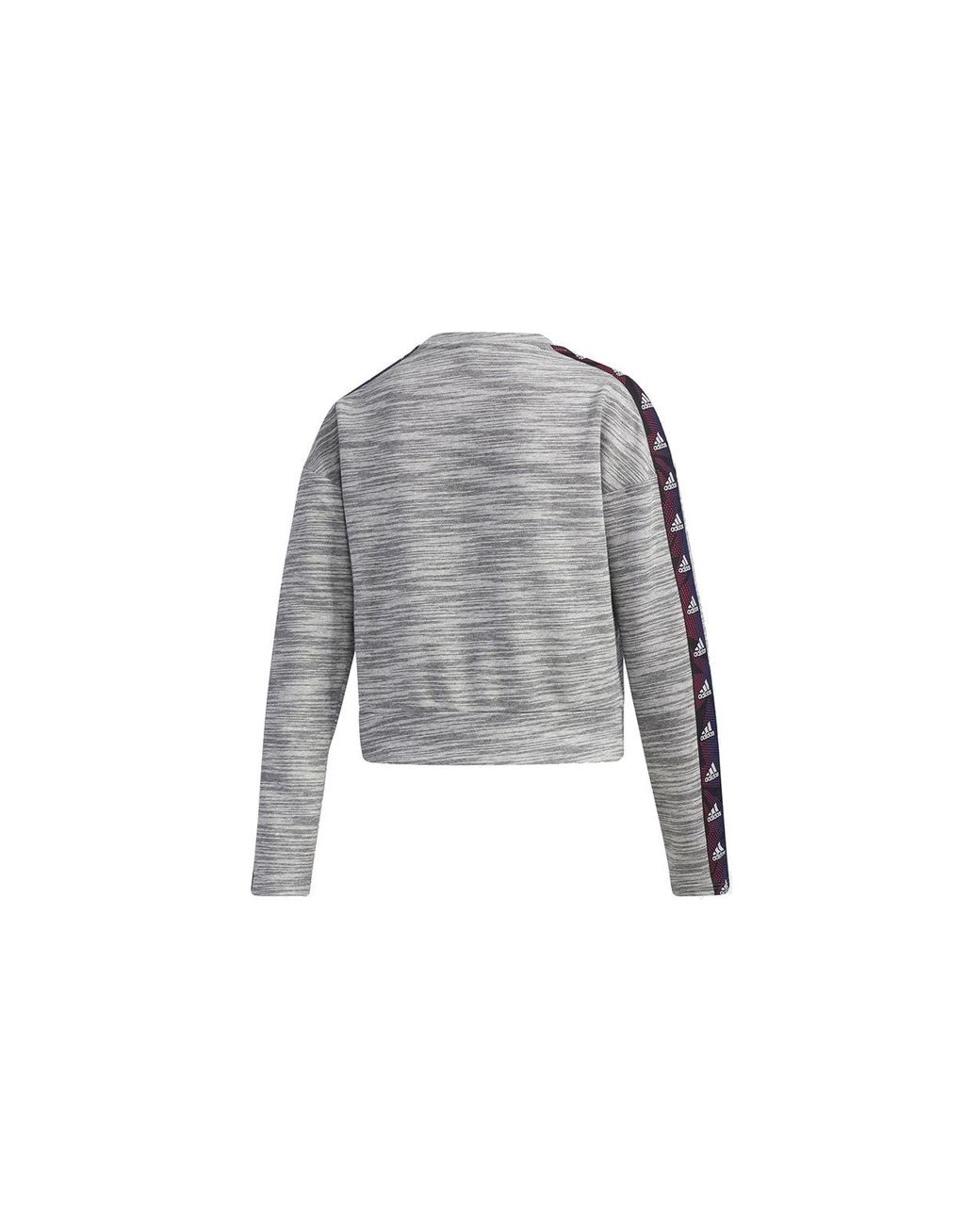 Adidas Gray (Wmns) Short Round Turtleneck Jersey Light