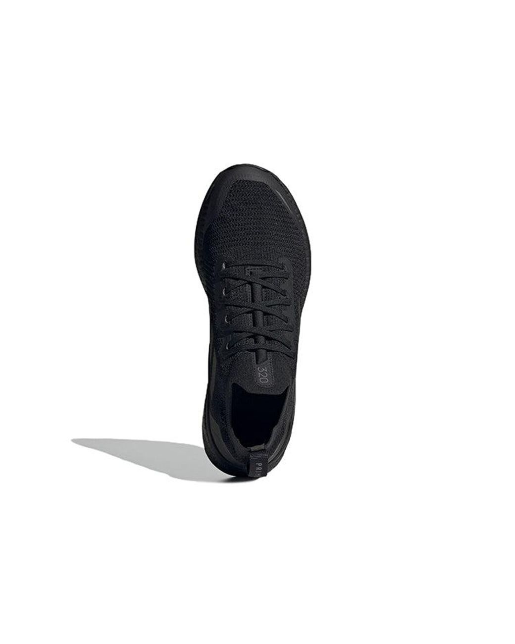 Adidas Blue Terrex Two Ultra for men