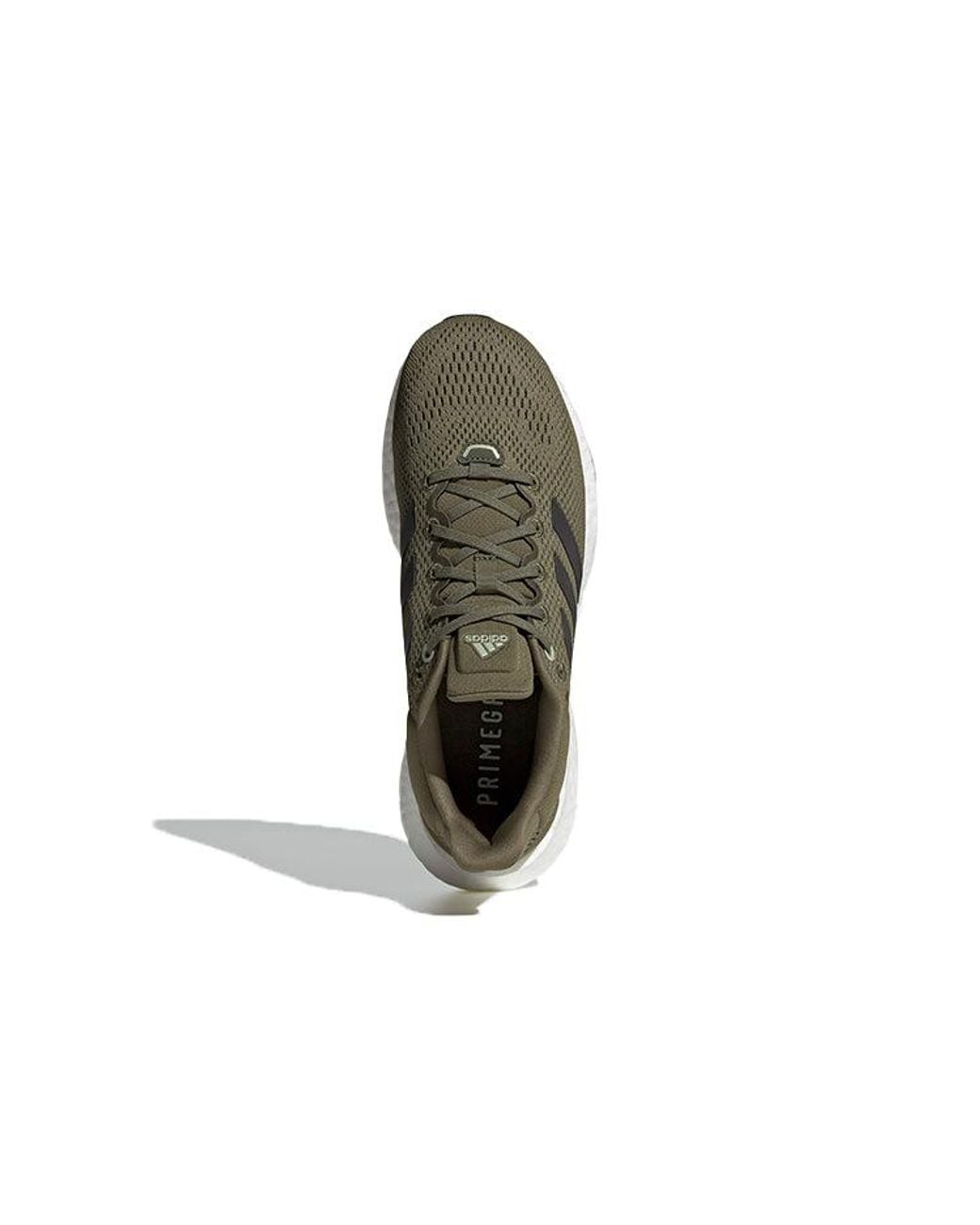 Adidas Brown Pureboost 21 'Focus' for men