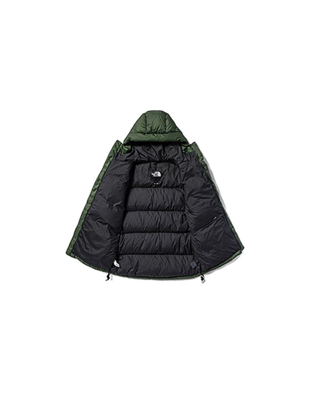 The North Face Winter Puffer Jacket 'Olivegreen' for men