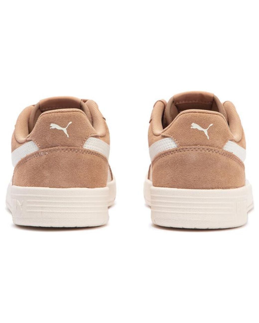 PUMA Natural Caracal Sd