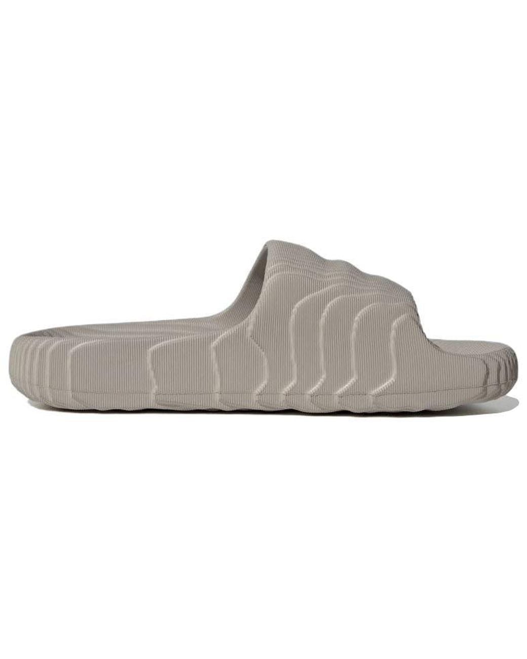 Adidas Gray Ciabatte Adiletet 22 Lightbrown for men