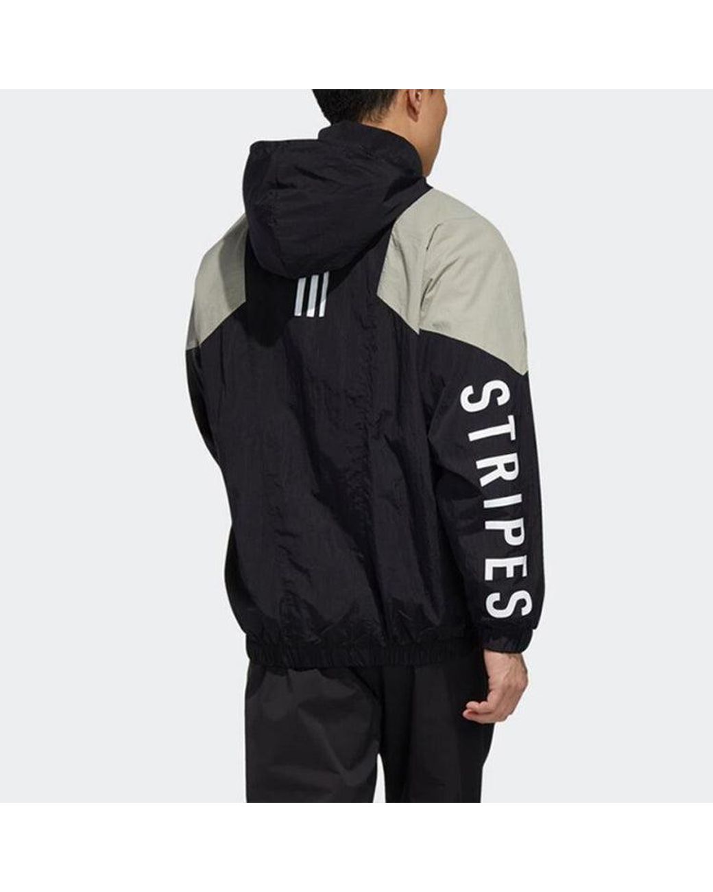 Adidas Blue Colorblock Alphabet Printing Casual Jacket for men