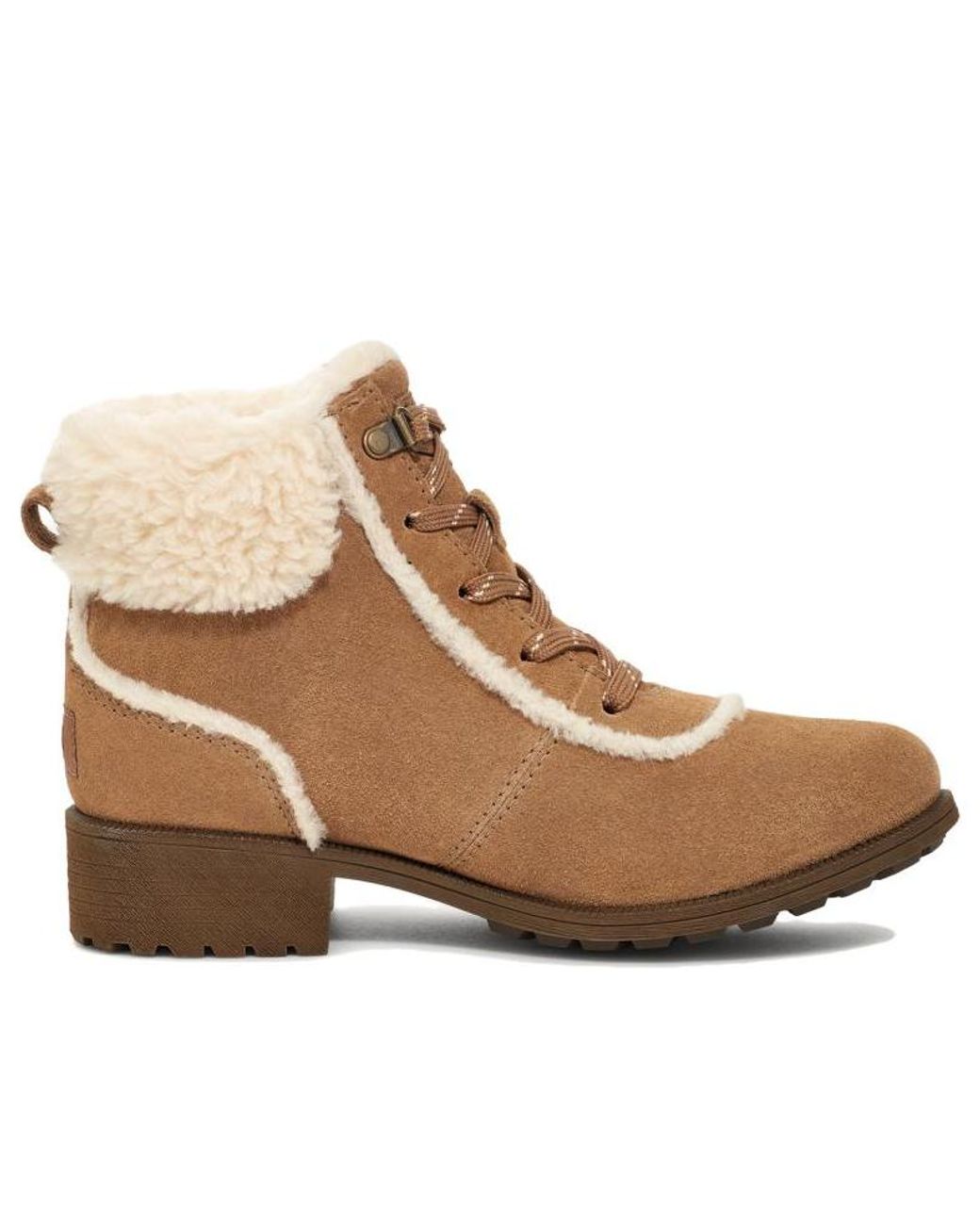 Ugg Brown (Wmns) Bodie Fur Lace Boot 'Chestnut'