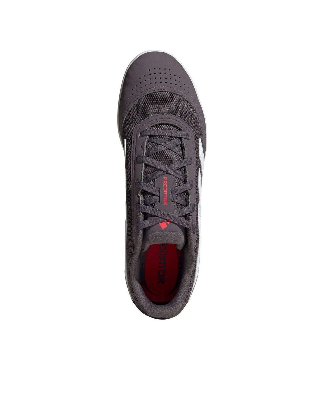 Adidas Gray Predator Club for men