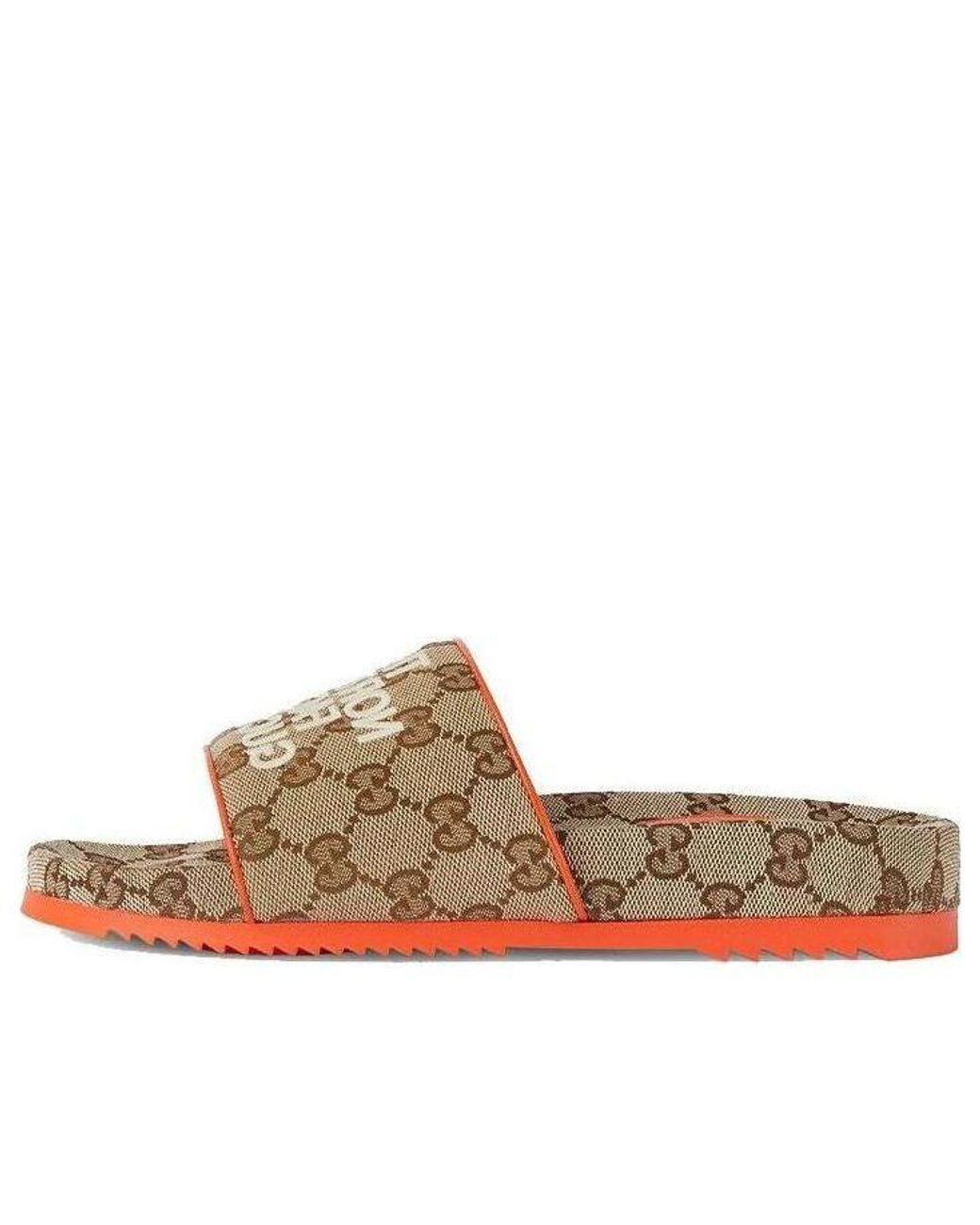 Gucci Brown (Wmns) Slide X The North Face Monogram'