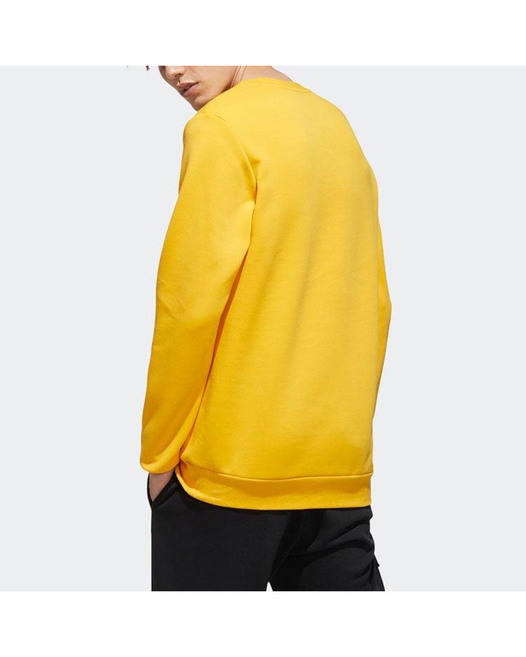 Adidas Yellow Neo M Cs Vrsty Sw Logo Printing Knit Sports Round Neck Pullover for men
