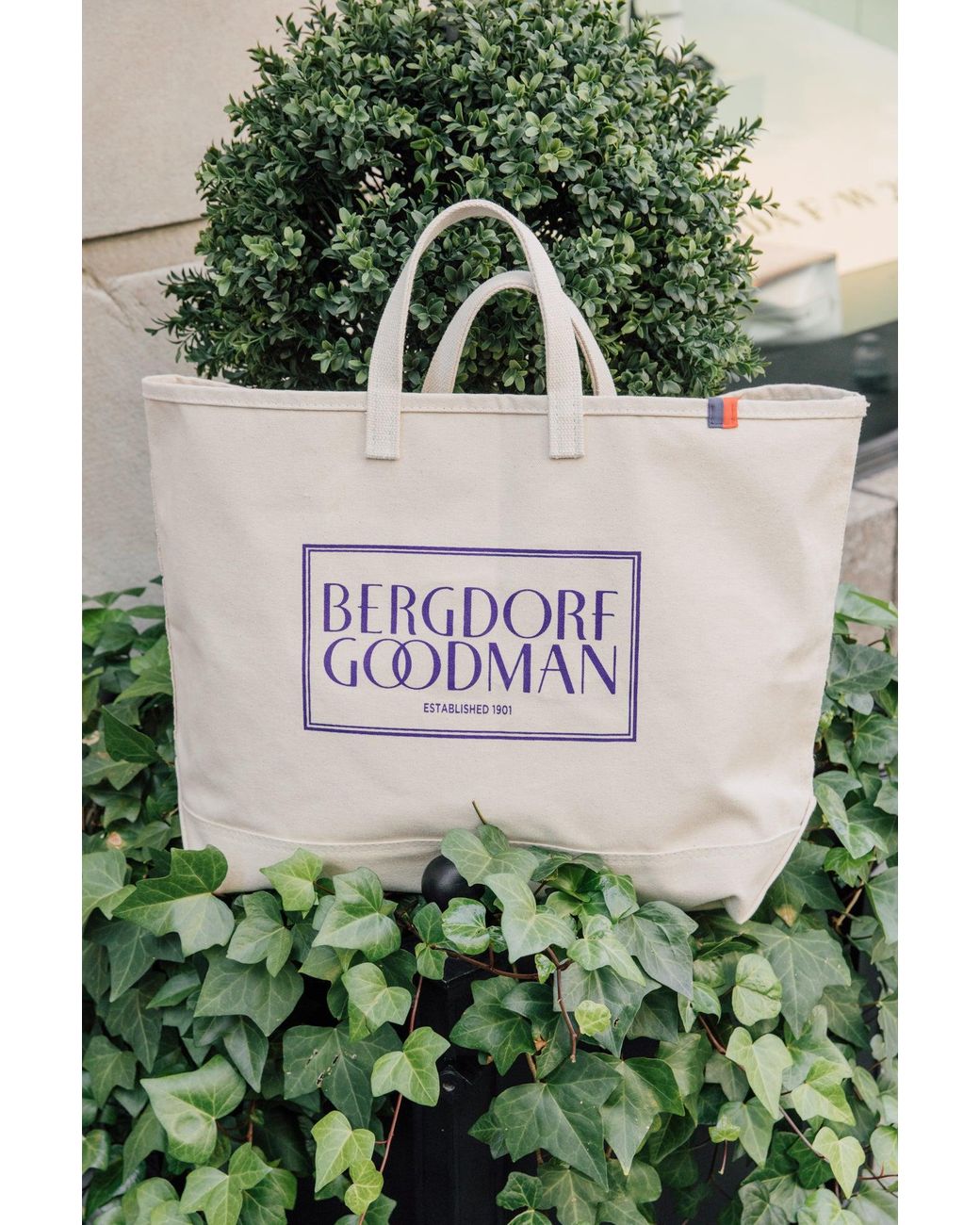 Kule The Bergdorf Goodman Tote in Natural Lyst