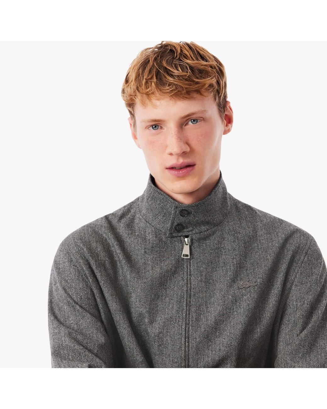 Lacoste Gray Wool Harrington Jacket for men