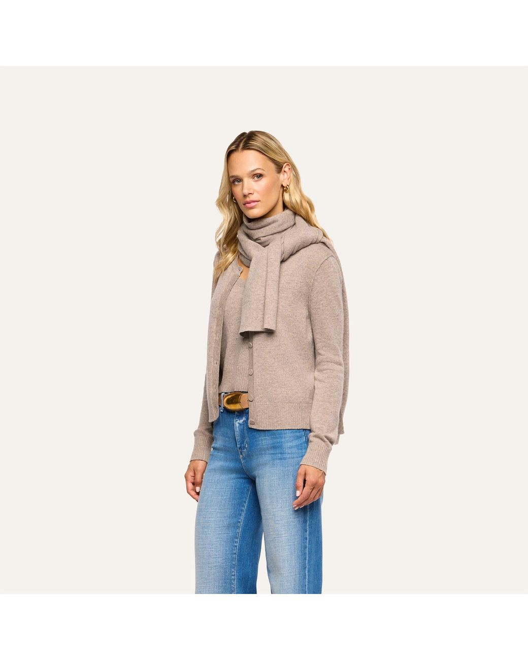 L'Agence Brown Palais Cashmere Scarf