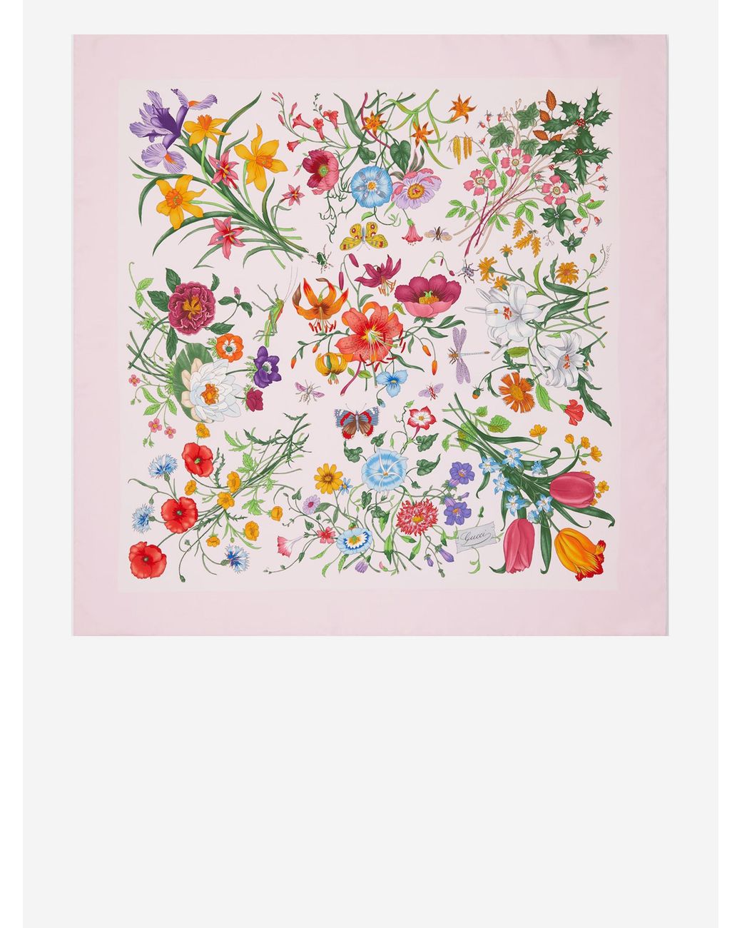Carr di Gucci in White