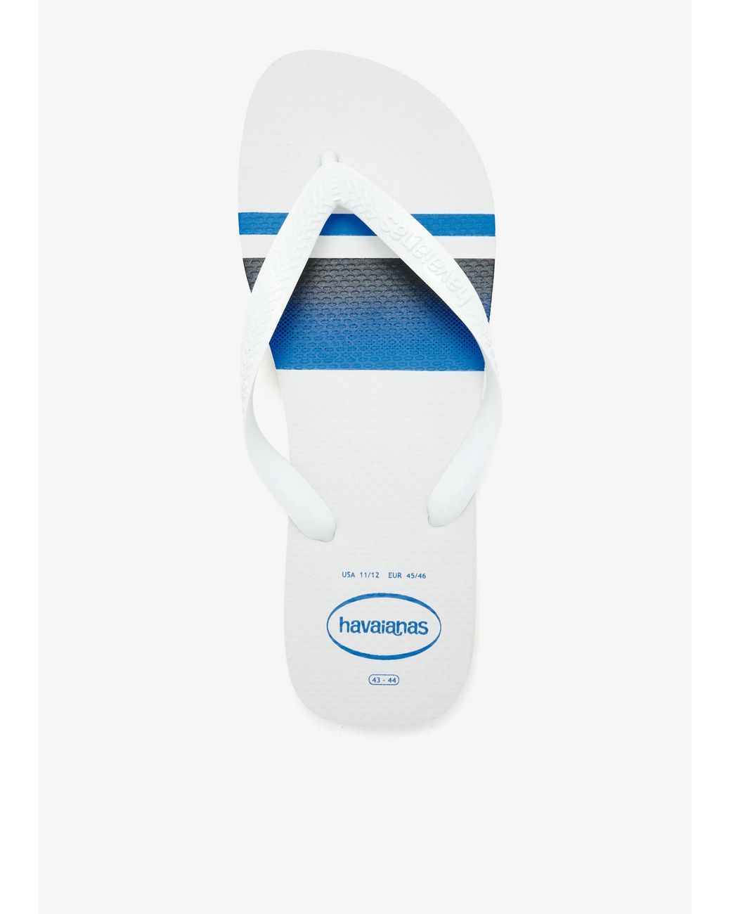 Havaianas Blue Top Basic Flip Flops for men