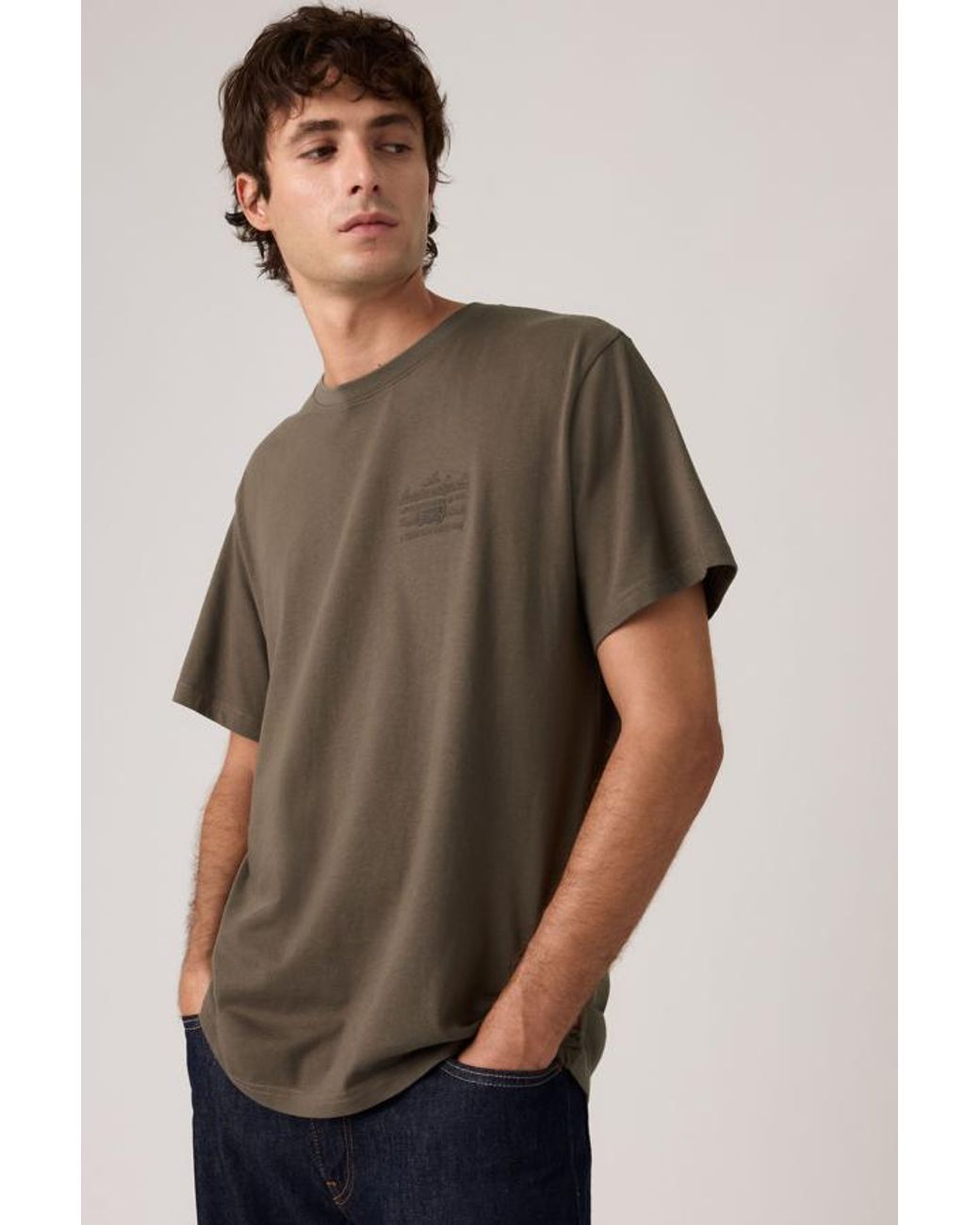 Levi's Brown Relaxed Fit Graphic Tee for men