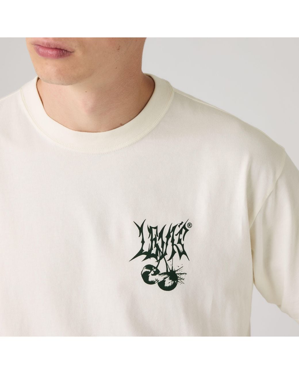 Levi's Natural Graphic Vintage Fit Tee for men