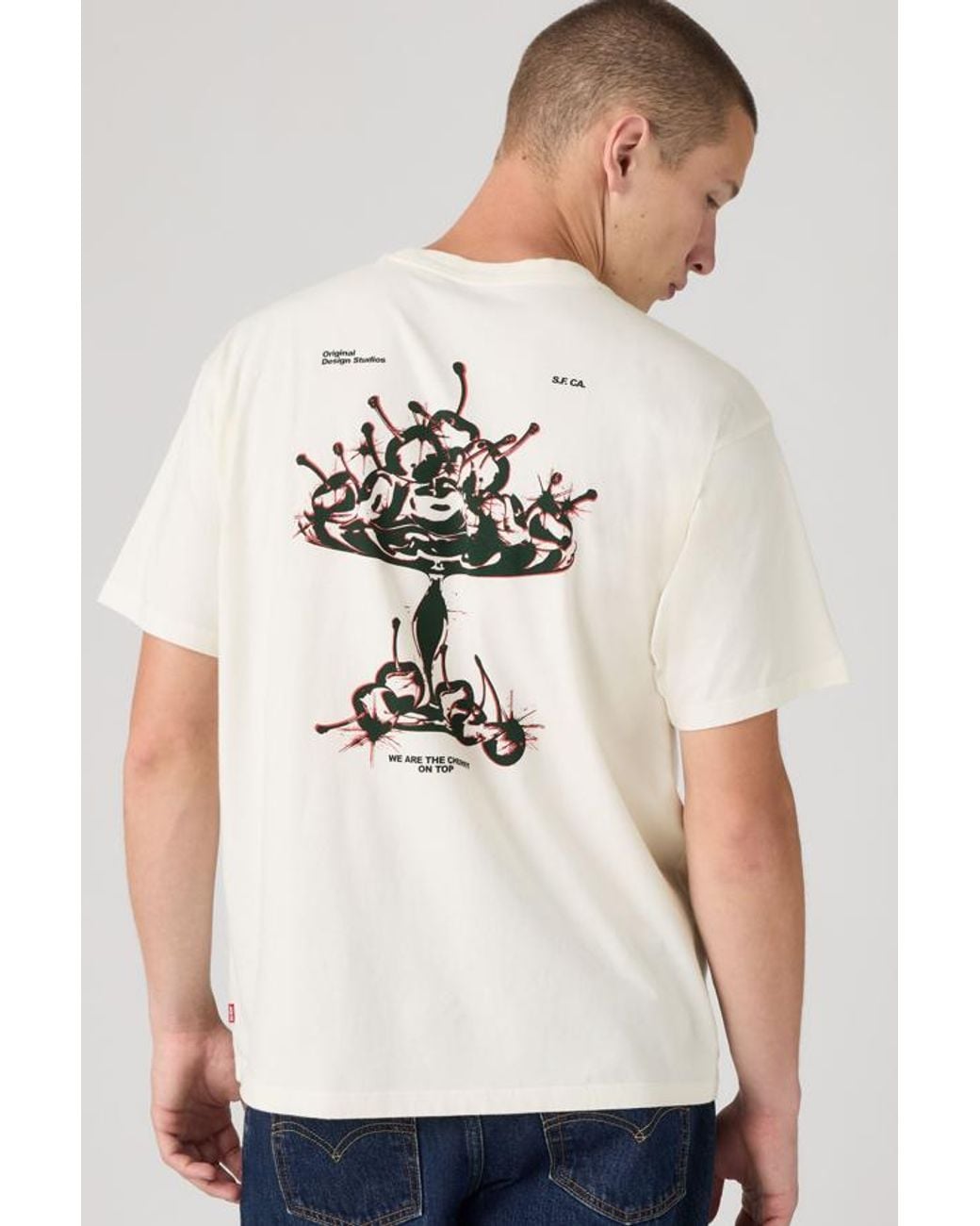 Levi's Natural Graphic Vintage Fit Tee for men
