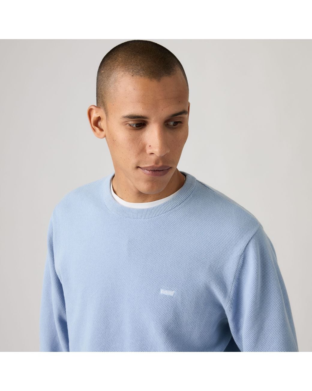 Levi's Blue Lightweight Housemark Sweater for men